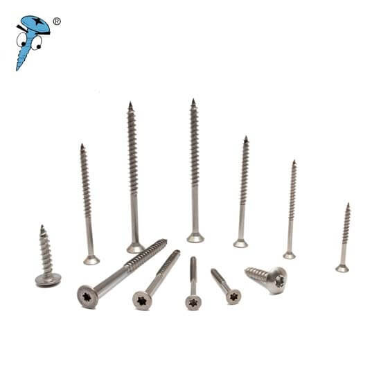 stainless steel screw 1