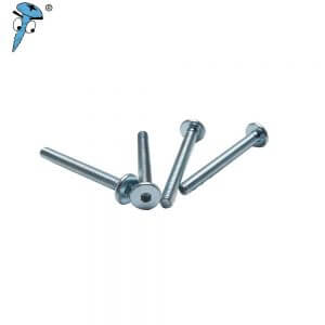 Hexgan socket screw with flat head